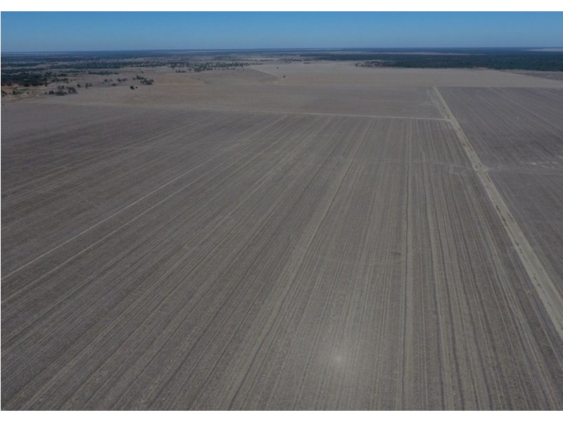 Roxburgh, Walgett NSW 2832