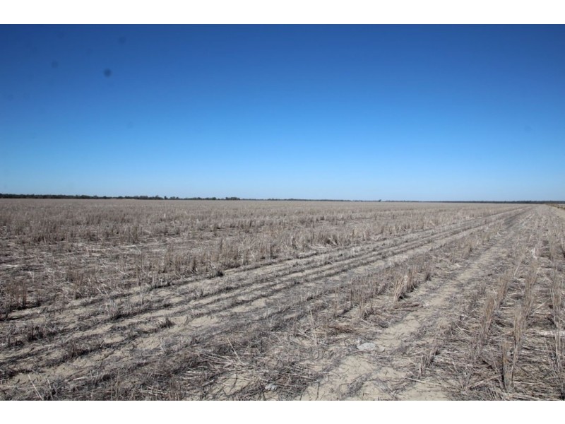 Roxburgh, Walgett NSW 2832