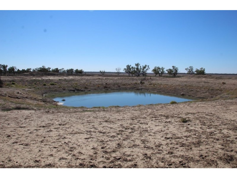Roxburgh, Walgett NSW 2832