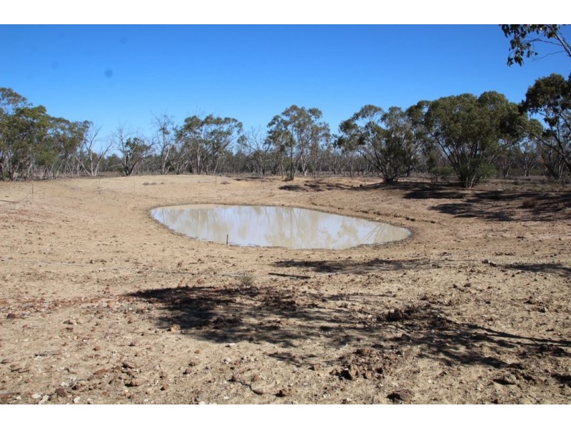 Roxburgh, Walgett NSW 2832