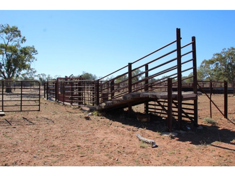 Roxburgh, Walgett NSW 2832