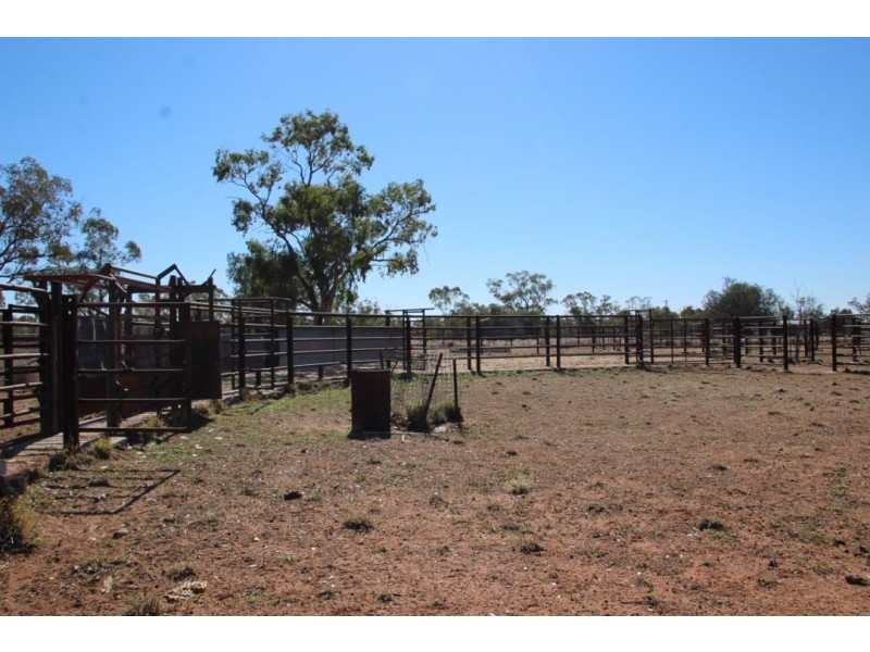 Roxburgh, Walgett NSW 2832