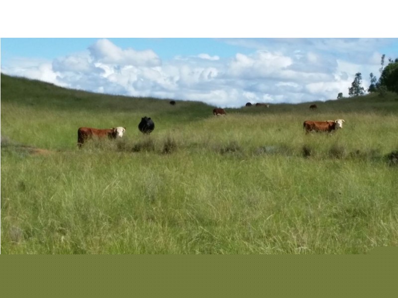 Errolston, Bingara NSW 2404