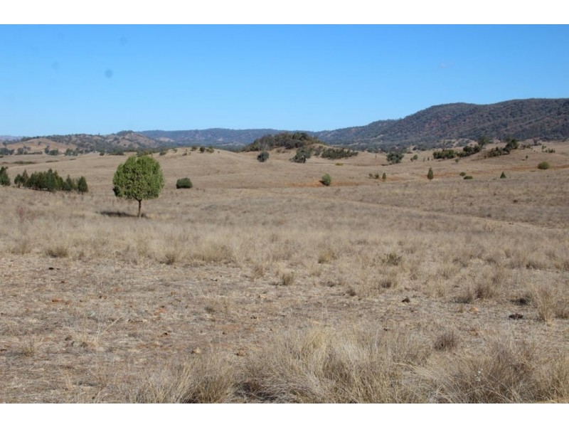 Errolston, Bingara NSW 2404