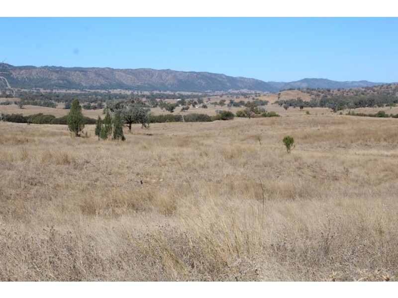 Errolston, Bingara NSW 2404