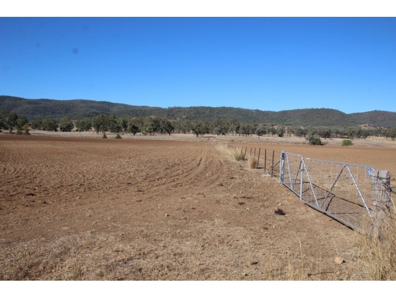 Errolston, Bingara NSW 2404