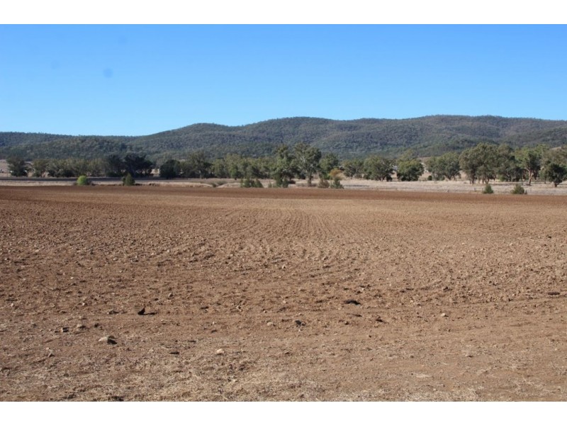 Errolston, Bingara NSW 2404