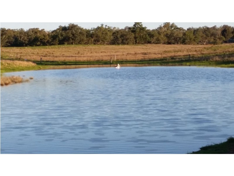 Errolston, Bingara NSW 2404