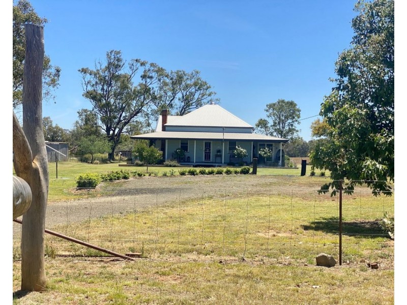 Killarney, Gravesend NSW 2401