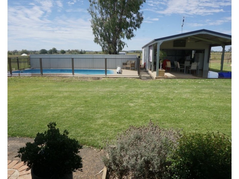 Killarney, Gravesend NSW 2401