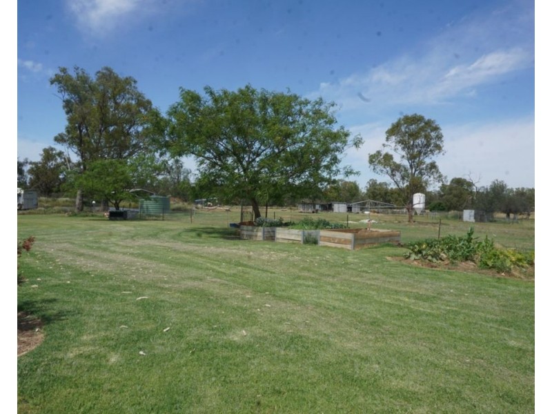 Killarney, Gravesend NSW 2401