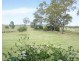 Killarney, Gravesend NSW 2401