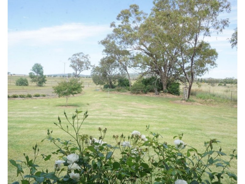 Killarney, Gravesend NSW 2401