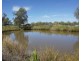 Killarney, Gravesend NSW 2401