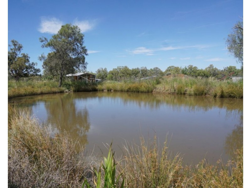 Killarney, Gravesend NSW 2401