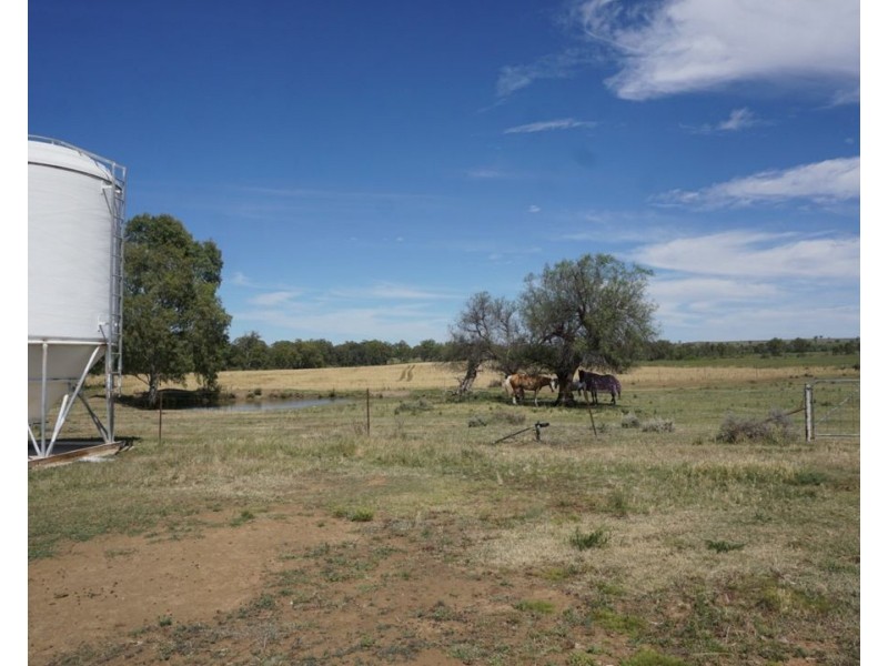 Killarney, Gravesend NSW 2401
