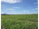 Killarney, Gravesend NSW 2401