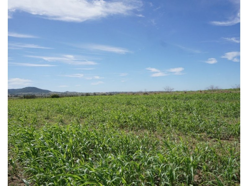 Killarney, Gravesend NSW 2401