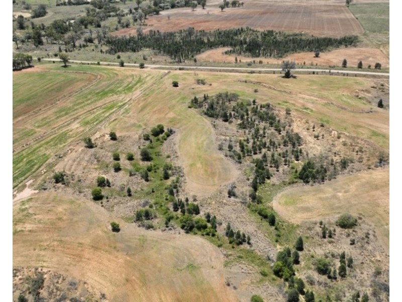 Killarney, Gravesend NSW 2401