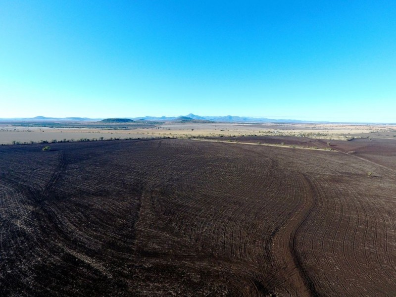 Glenoak, Bellata NSW 2397