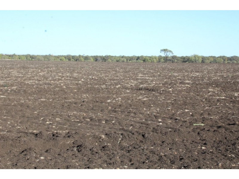 Glenoak, Bellata NSW 2397