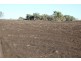 Glenoak, Bellata NSW 2397