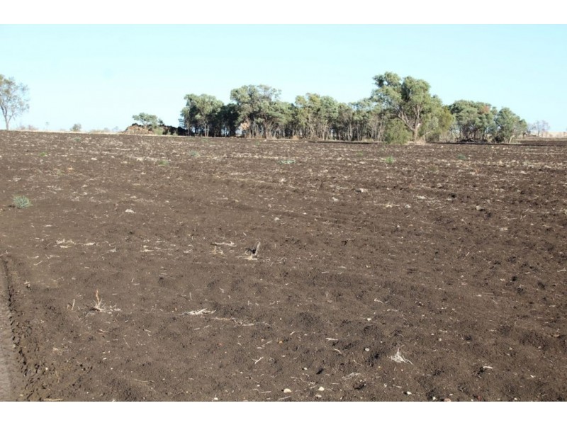 Glenoak, Bellata NSW 2397