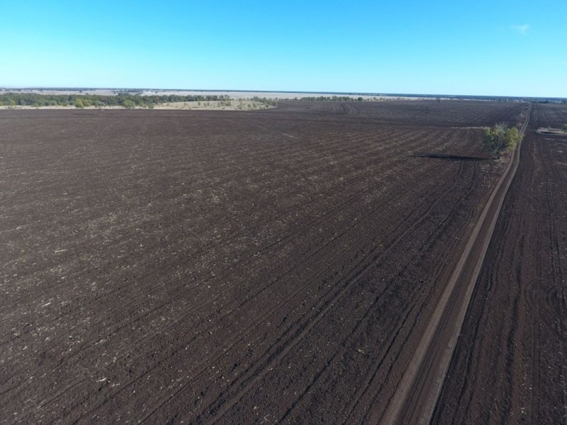 Glenoak, Bellata NSW 2397