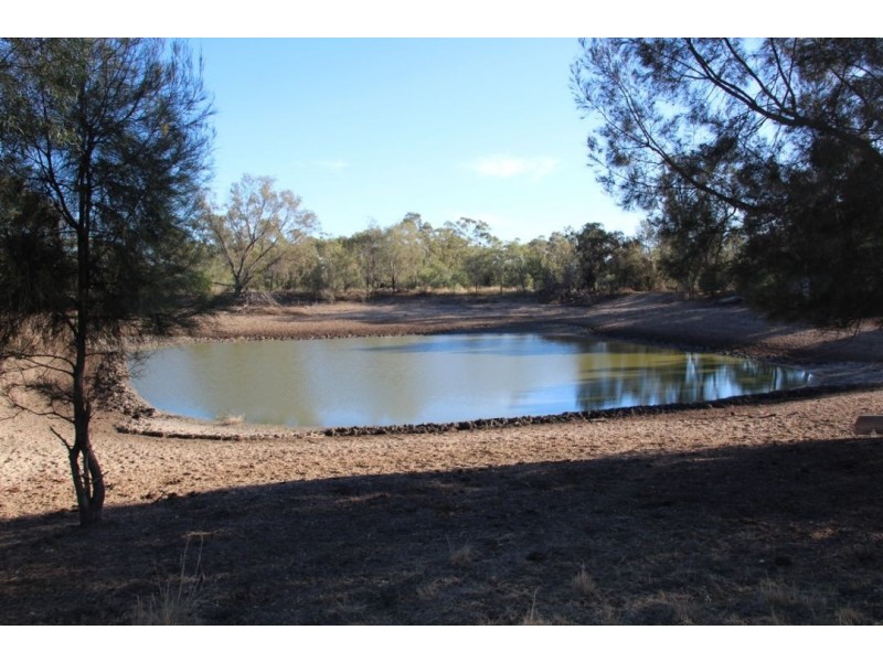 Glenoak, Bellata NSW 2397