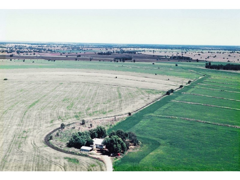 Glenoak, Bellata NSW 2397