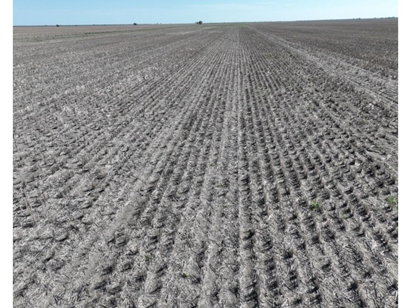 Aberfoyle  Aggregation, Brewarrina NSW 2839