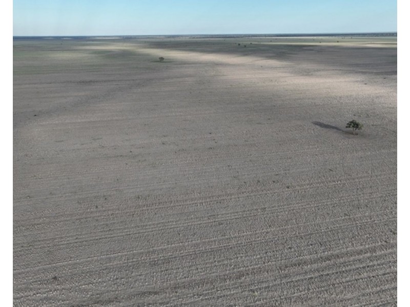 Aberfoyle  Aggregation, Brewarrina NSW 2839