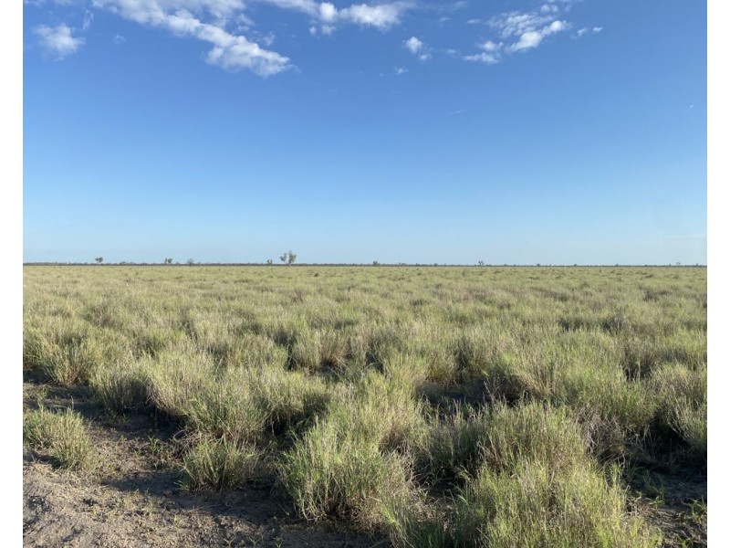 Aberfoyle  Aggregation, Brewarrina NSW 2839