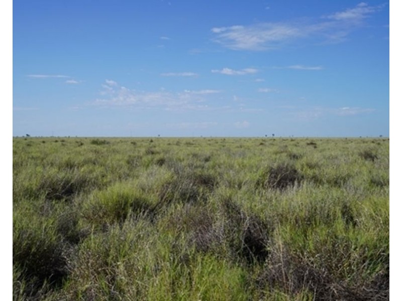 Aberfoyle  Aggregation, Brewarrina NSW 2839