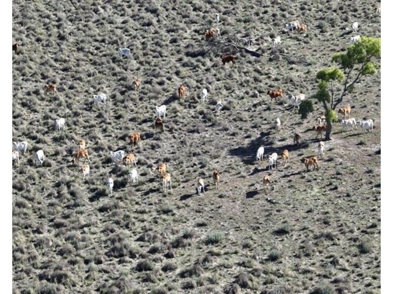 Aberfoyle  Aggregation, Brewarrina NSW 2839