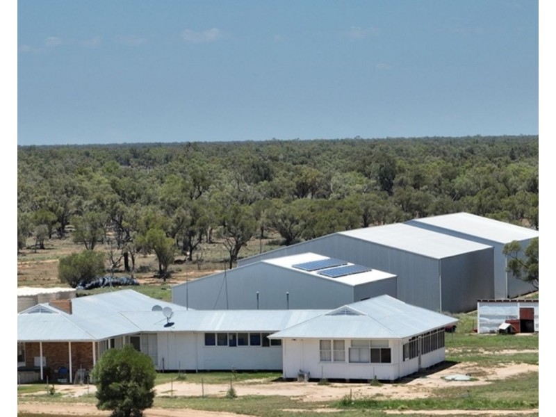 Aberfoyle  Aggregation, Brewarrina NSW 2839