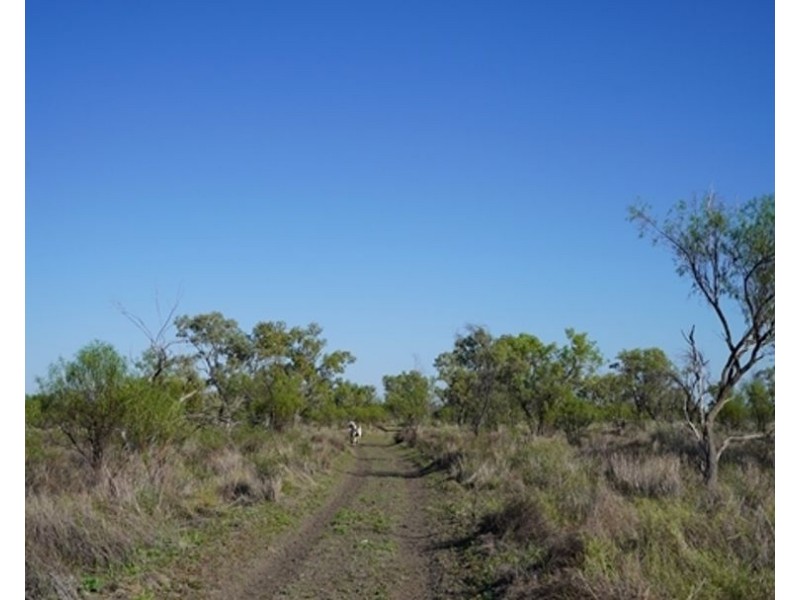 Aberfoyle  Aggregation, Brewarrina NSW 2839