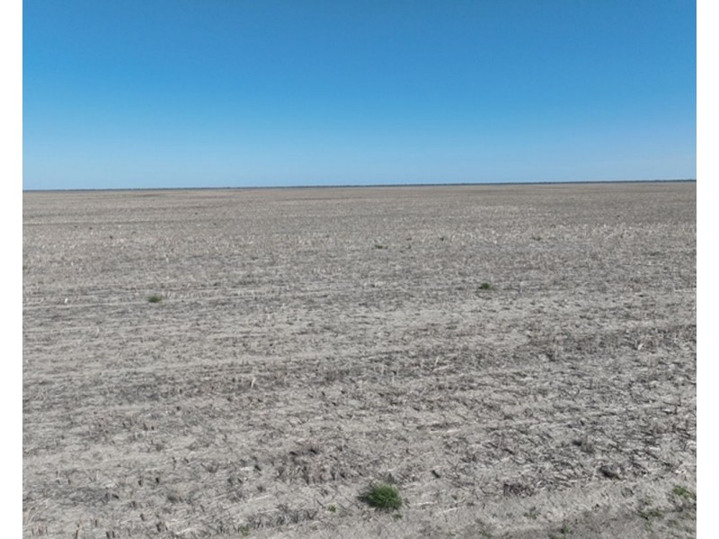 Aberfoyle  Aggregation, Brewarrina NSW 2839