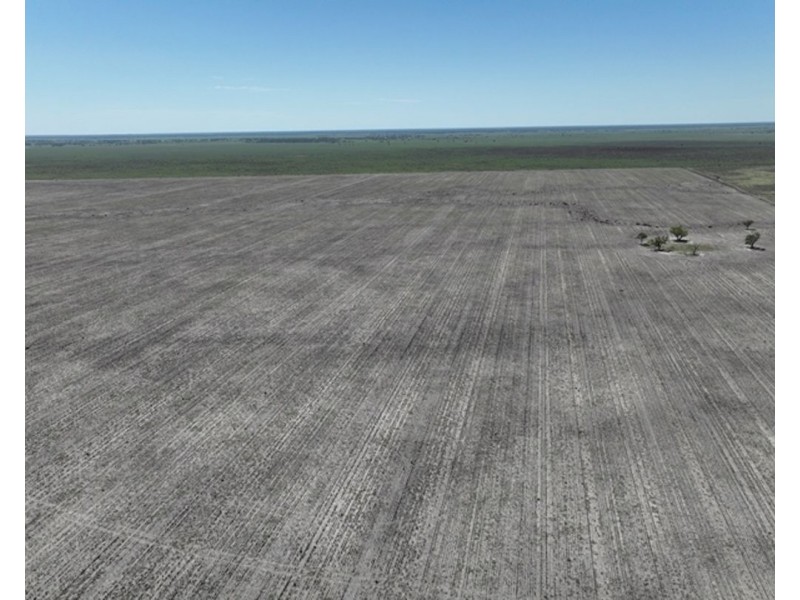 Aberfoyle  Aggregation, Brewarrina NSW 2839