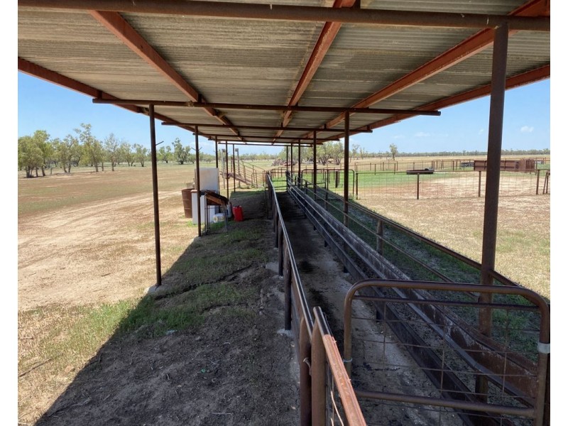 Aberfoyle  Aggregation, Brewarrina NSW 2839