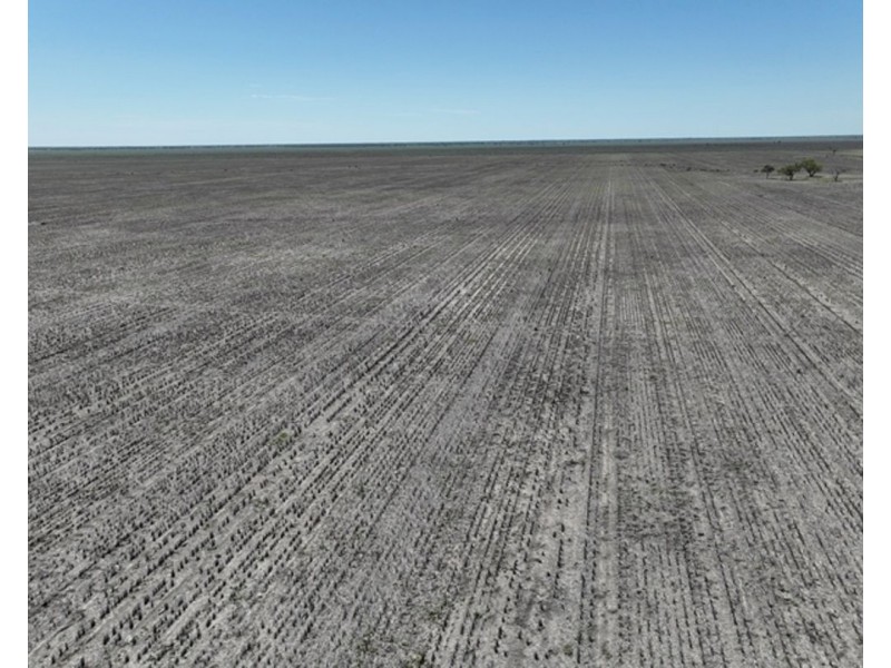 Aberfoyle  Aggregation, Brewarrina NSW 2839