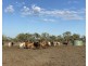 Aberfoyle  Aggregation, Brewarrina NSW 2839