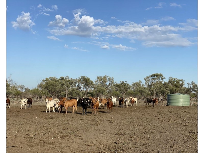 Aberfoyle  Aggregation, Brewarrina NSW 2839