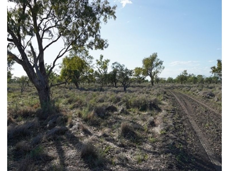Aberfoyle  Aggregation, Brewarrina NSW 2839