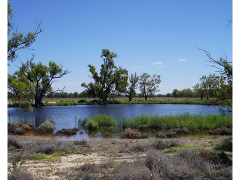 Aberfoyle  Aggregation, Brewarrina NSW 2839