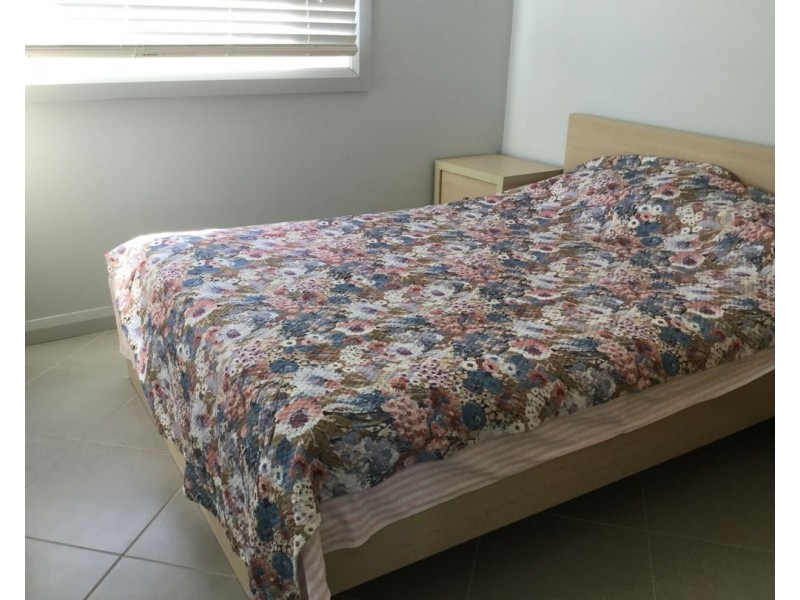 50 Dover Street, Moree NSW 2400