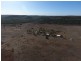 Wadgie Farm, Warialda NSW 2402
