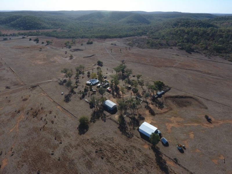 Wadgie Farm, Warialda NSW 2402