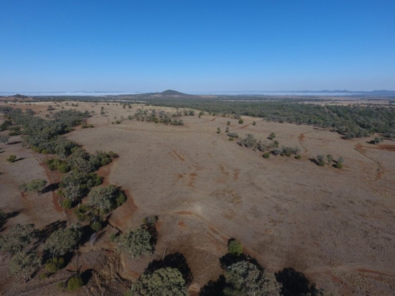 Wadgie Farm, Warialda NSW 2402