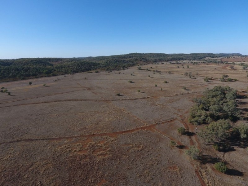 Wadgie Farm, Warialda NSW 2402